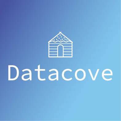 Free Business Reporting Review & 10% Off All Datacove Services